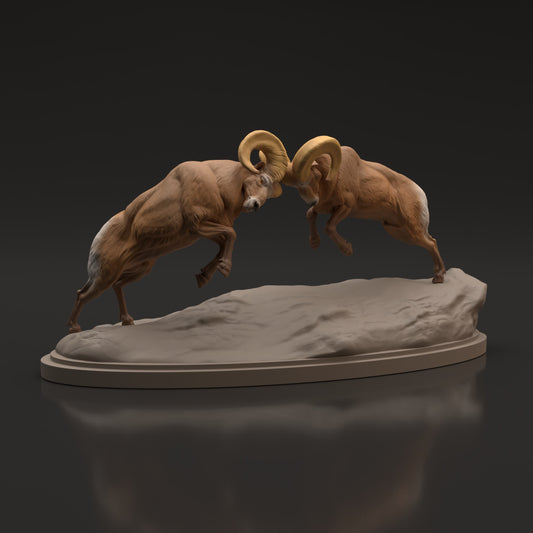 Produktfoto Tier Figur Diorama, Modellbau: 0: Wildtier Figur: Kampfszene Dickhornschaf – Widder (Ref 01_01_53)