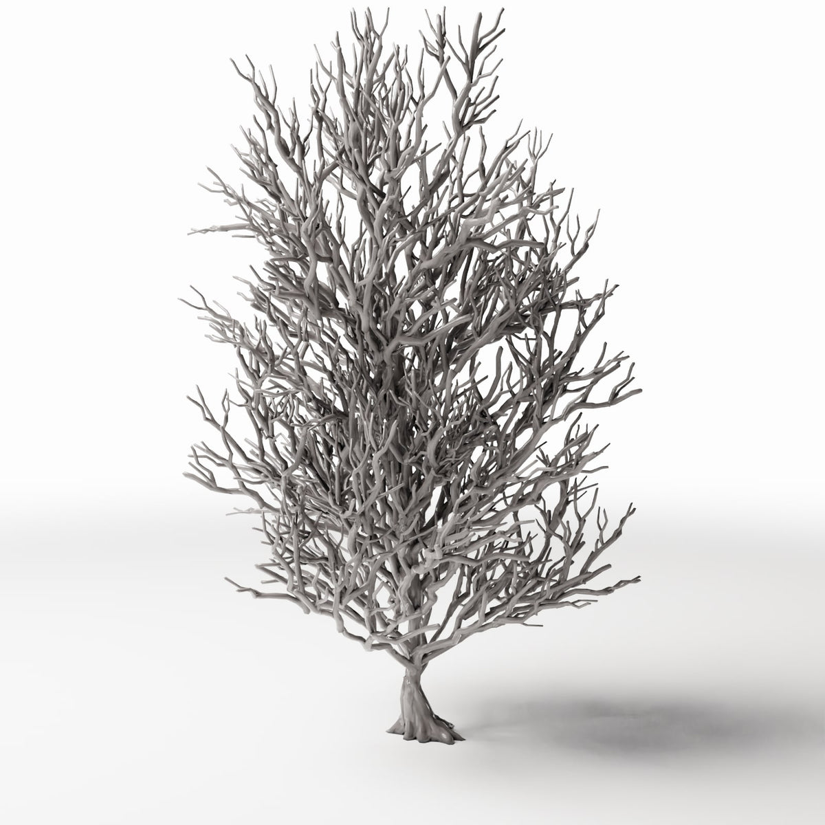 Diorama Modellbau Produktfoto 3: Diorama Pflanzen: Hoher kahler Baum mit Wurzeln (Ref. 1092D)