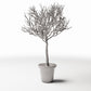 Foto prodotto per diorami e modellismo 0: Piante per diorama: albero ornamentale spoglio in vaso (Ref. 1100D)
