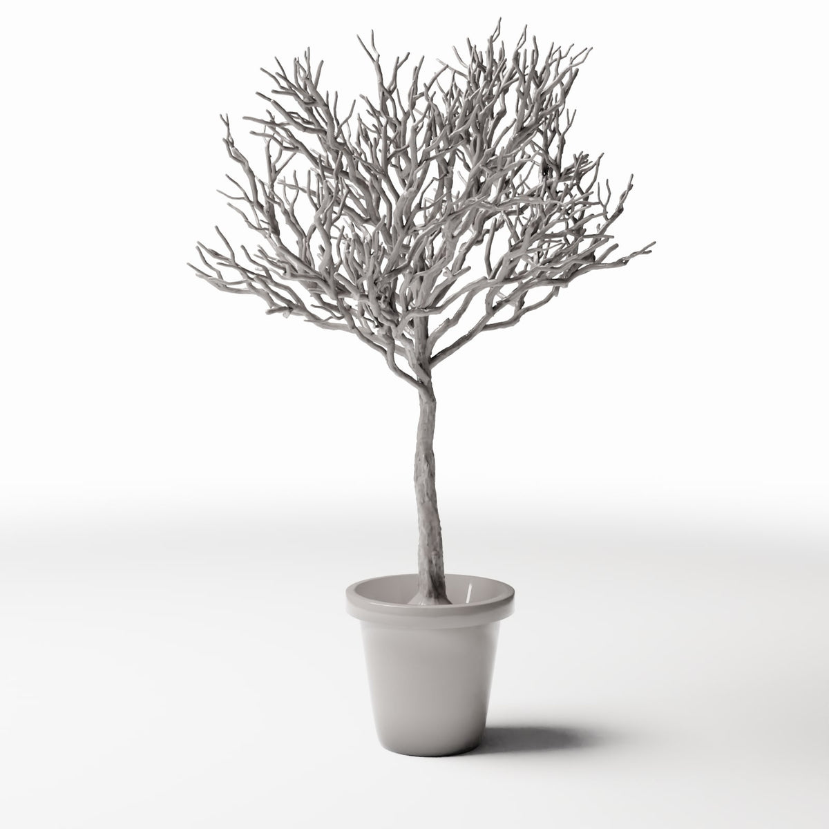 Foto prodotto per diorami e modellismo 0: Piante per diorama: albero ornamentale spoglio in vaso (Ref. 1100D)