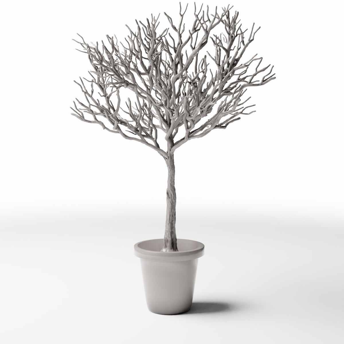 Foto prodotto per diorami e modellismo 2: Piante per diorama: albero ornamentale spoglio in vaso (Ref. 1100D)