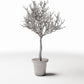 Foto prodotto per diorami e modellismo 3: Piante per diorama: albero ornamentale spoglio in vaso (Ref. 1100D)
