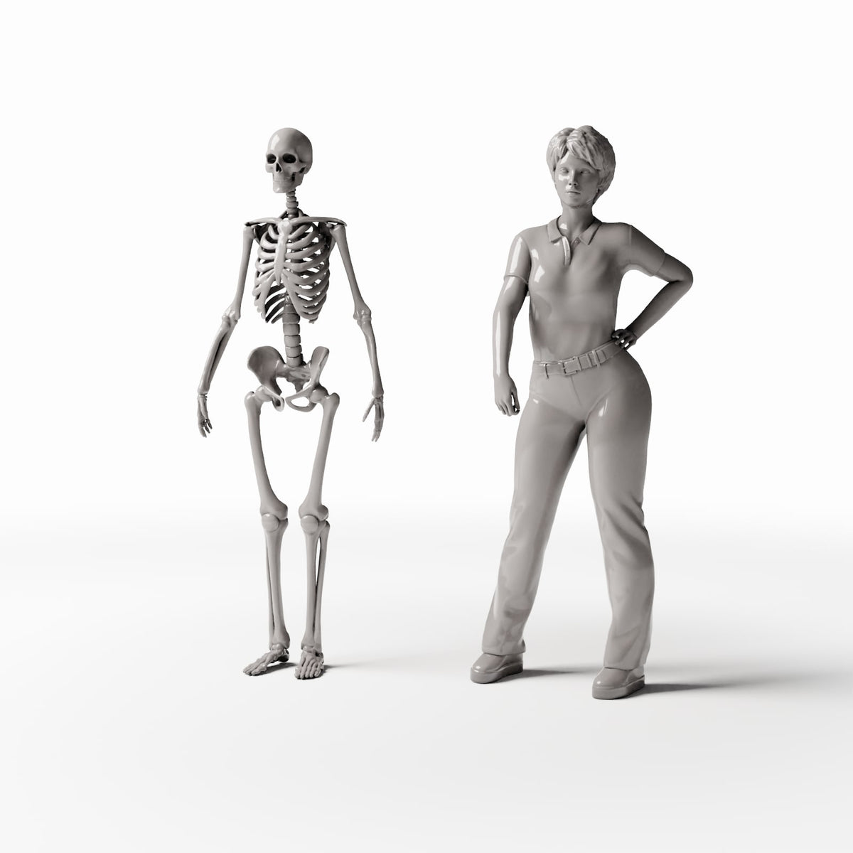 Diorama Modellbau Produktfoto 1: Diorama-Gelände: Anatomisches menschliches Skelett (Ref. 1455D)