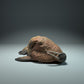 Produktfoto Tier Figur Diorama, Modellbau: 0: Meerestier Figur: schlafendes Walross (Ref 01_01_49)