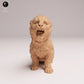 Produktfoto Tier Figur Diorama, Modellbau: 0: Wildtier Figur: Amur Leopard Junges – brüllend (Ref 25_07_14)
