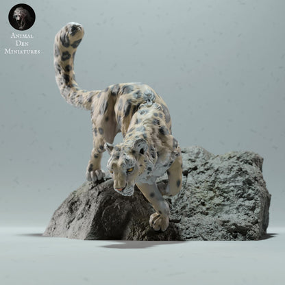 Φωτογραφία προϊόντος Ζώο Φιγούρα Diorama, Μοντελισμός: 0: Άγριο ζώο Φιγούρα: Χιονισμένος λεοπάρδαλη σε βράχο (Ref 01_01_47)