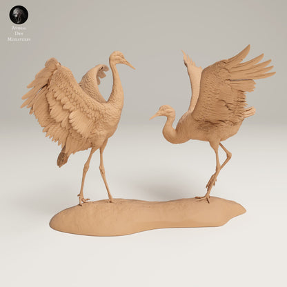 Produktové foto zvířecí figurky diorama, modelářství: 0: Divoká zvířecí figurka: Tančící kanadské jeřáby – Velcí pískoví jeřábi (Ref 25_06_10)