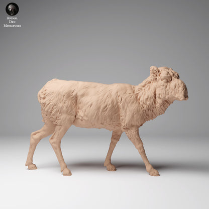 Foto do produto de figura de animal em diorama, modelismo: 0: Figura de animal selvagem: Antílope Saiga Mongol – Fêmea em pelagem de inverno (Ref 24_12_14)
