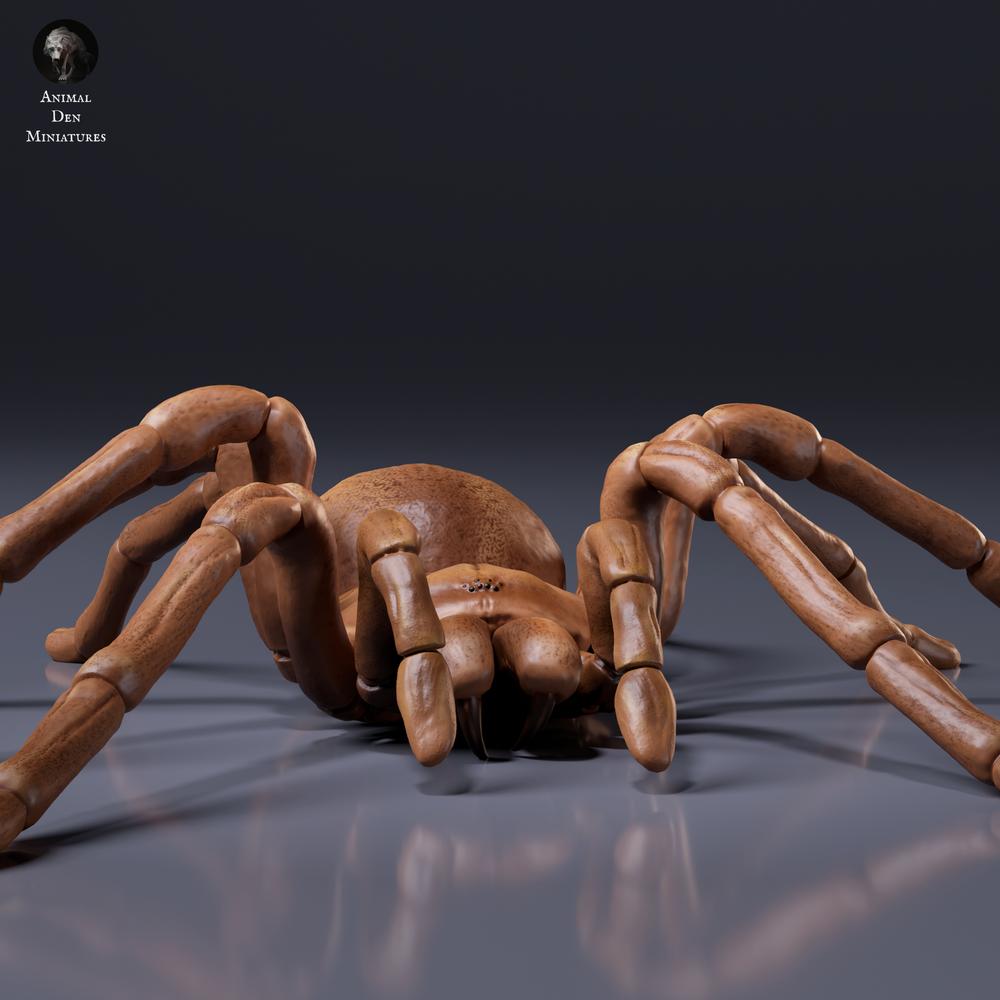 Produktfoto Tierfigur Animal Den Miniatures 6: Spinnentierfigur: Goliath-Vogelspinne (26_10_01)