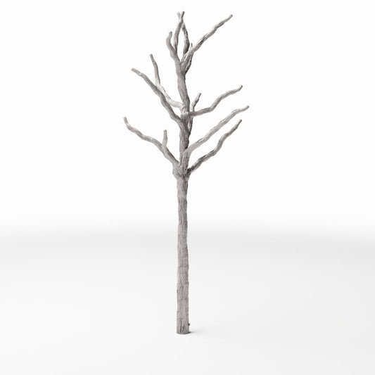 Diorama modelarskie zdjęcie produktu 0: Rośliny do dioramy: bezlistny pień drzewa z gałęziami (Ref. 579D)