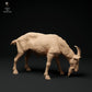 Produktfoto Tier Figur Diorama, Modellbau: 0: Alpen Ziegenbock: grasend