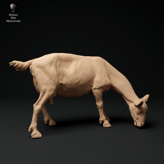 Produktfoto Tier Figur Diorama, Modellbau: 0: Alpen Ziege: grasend