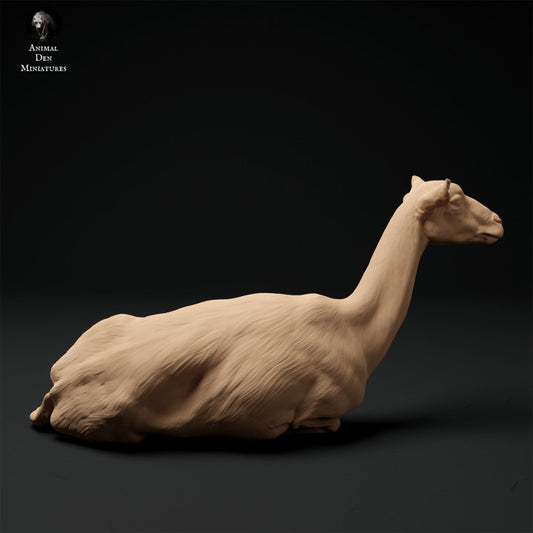 Produktfoto Tier Figur Diorama, Modellbau: 0: Alpen Ziege: liegend