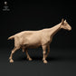 Produktfoto Tier Figur Diorama, Modellbau: 0: Alpen Ziege: gehend