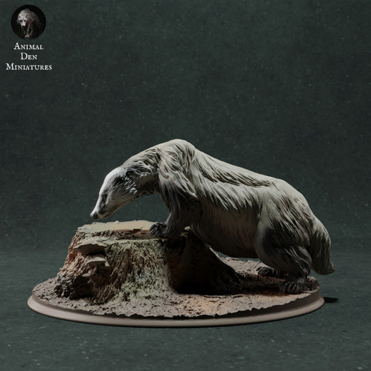 Φωτογραφία προϊόντος ζωικής φιγούρας Animal Den Miniatures 0: Φιγούρα άγριου ζώου: Ευρωπαϊκός ασβός - μυρίζοντας (22_11_09)