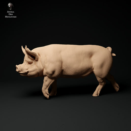 Produktfoto Tier Figur Diorama, Modellbau: 0: Bauernhof Tier Figuren: Eber gehend - Berkshire Pig