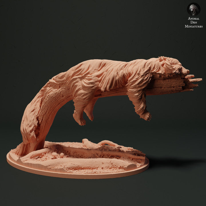 Produktfoto Tierfigur Animal Den Miniatures 1: Wildtier Tierfigur: Binturong - schlafend (23_05_06)