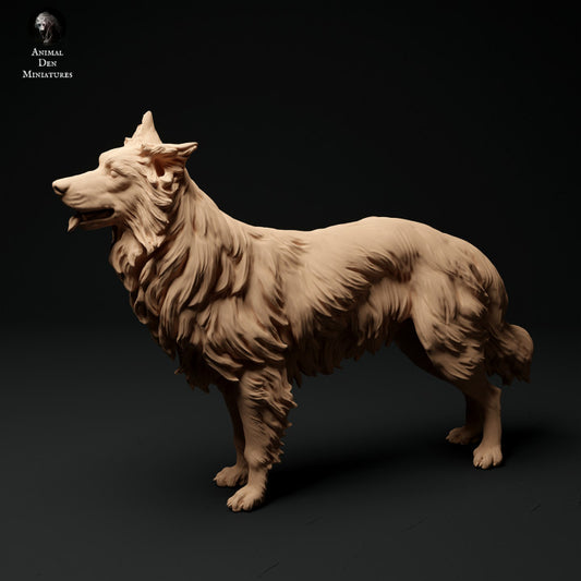 Produktfoto Tier Figur Diorama, Modellbau: 0: Haustier Figur: stehender Hund - Border Collie