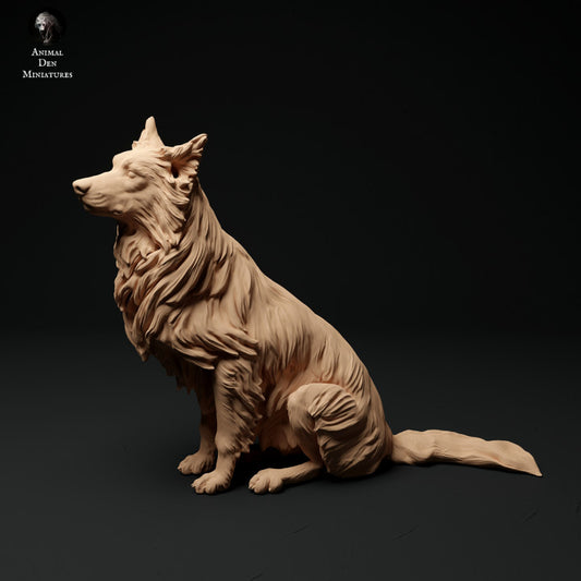 Produktfoto Tier Figur Diorama, Modellbau: 0: Haustier Figur: sitzender Hund - Border Collie