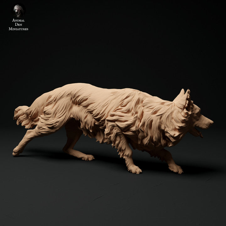 Produktfoto Tier Figur Diorama, Modellbau: 0: Haustier Figur: laufernder Hund - Border Collie