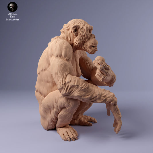 Produktfoto Tier Figur Diorama, Modellbau: 0: Schimpanse weiblich mit Futter: Tiere aus Afrika