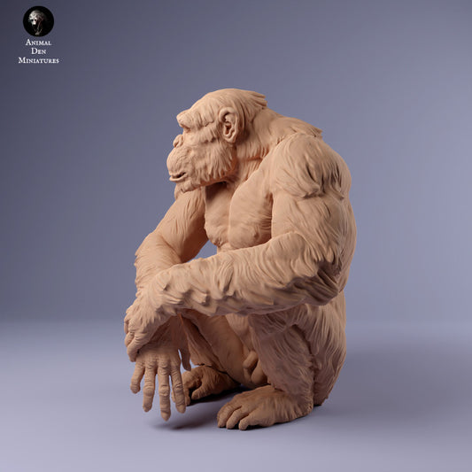 Produktfoto Tier Figur Diorama, Modellbau: 0: Schimpanse sitzend: Tiere aus Afrika