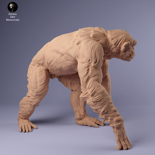 Produktfoto Tier Figur Diorama, Modellbau: 0: Schimpanse: Tiere aus Afrika
