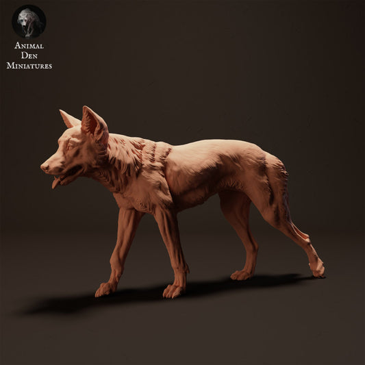 Φωτογραφία προϊόντος φιγούρας ζώου Animal Den Miniatures 0: Φιγούρα άγριου ζώου: Ντίνγκο - περπατά (23_04_07)