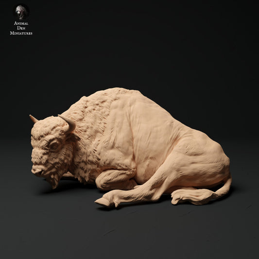 Produktfoto Tier Figur Diorama, Modellbau: 0: Bison Kuh liegend: Tiere aus Europa