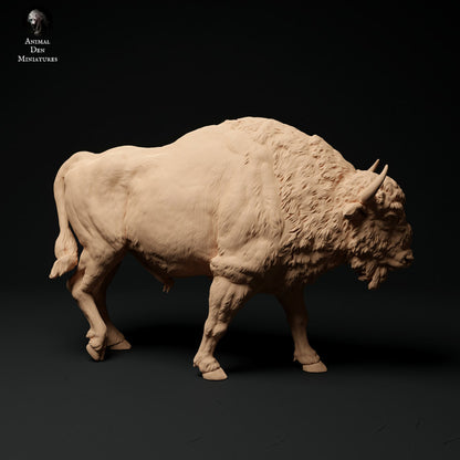 Produktové foto zvířecí figurky dioráma, modelářství: 0: Bison samec kráčející: Zvířata z Evropy