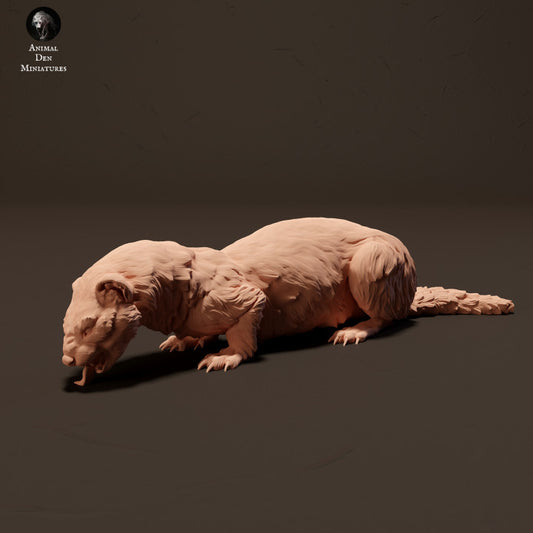 Produktfoto Tier Figur Diorama, Modellbau: 0: Europäisches Frettchen/ Iltis fressend: Tiere aus Europa