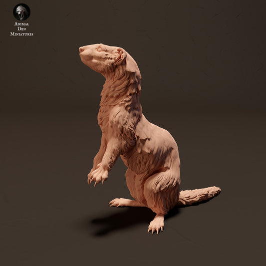 Produktfoto Tier Figur Diorama, Modellbau: 0: Europäisches Frettchen/ Iltis stehend: Tiere aus Europa