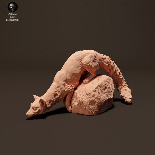 Produktfoto Tier Figur Diorama, Modellbau: 0: Ginsterkatze/ Genet auf Felsen: Tiere aus Afrika