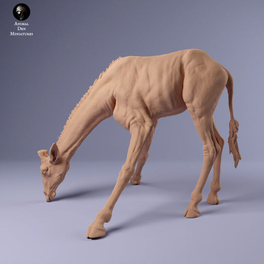 Produktfoto Tier Figur Diorama, Modellbau: 0: Giraffe trinkend: Tiere aus Afrika