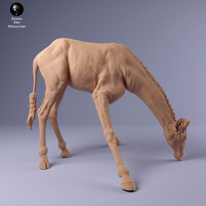 Produktfoto Tier Figur Diorama, Modellbau: 0: Giraffe trinkend: Tiere aus Afrika