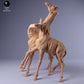Produktfoto Tier Figur Diorama, Modellbau: 0: Zwei Giraffen Männchen kämpfen: Tiere aus Afrika