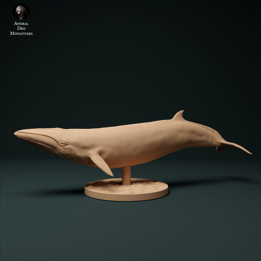 Produktfoto Tier Figur Diorama, Modellbau: 0: Zwergwal: Tiere aus dem Meer