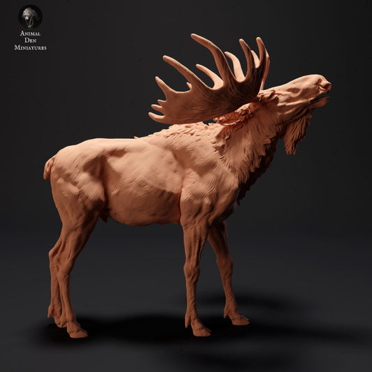 Produktfoto Tier Figur Diorama, Modellbau: 0: Mächtiger Elch brüllend: Tiere des Nordens