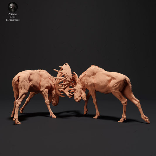 Produktfoto Tier Figur Diorama, Modellbau: 0: Mächtiger Elche kämpfen: Tiere des Nordens