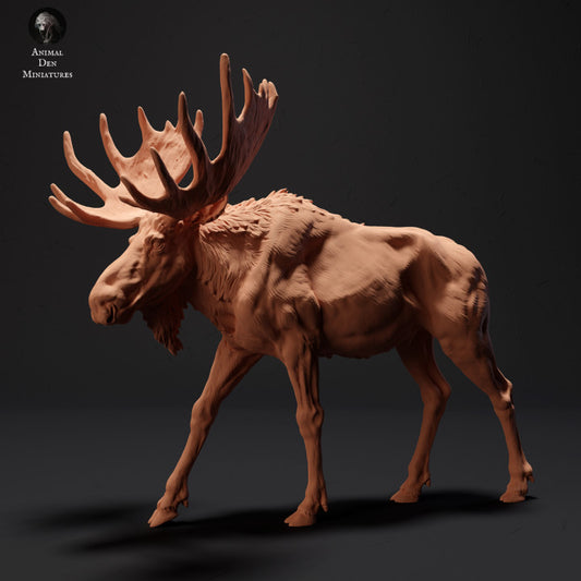 Produktfoto Tier Figur Diorama, Modellbau: 0: Mächtiger Elch: Tiere des Nordens