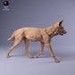 Produktfoto Tier Figur Diorama, Modellbau: 0: Afrikanischer Wildhund: Tiere aus Afrika