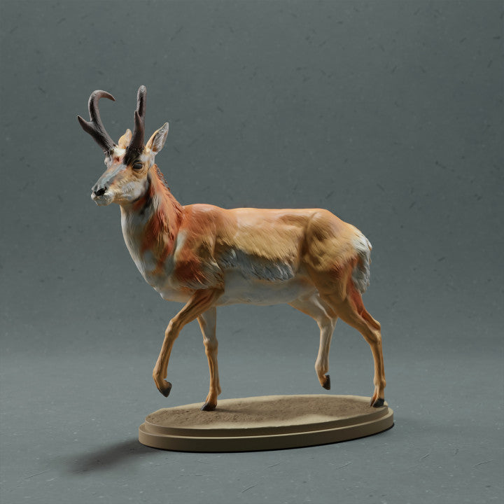 Zdjęcie produktu figurki zwierzęcej Animal Den Miniatures 0: dzikie zwierzę - figurka: widłoróg amerykański - samiec (22_10_09)