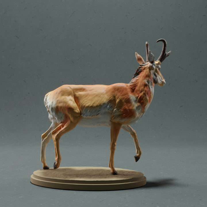 Zdjęcie produktu figurki zwierzęcej Animal Den Miniatures 2: Figurka dzikiego zwierzęcia: widłoróg amerykański - samiec (22_10_09)