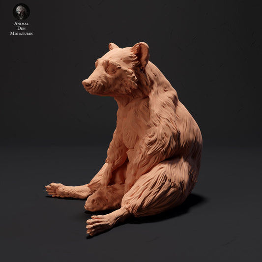 Produktfoto Tier Figur Diorama, Modellbau: 0: Waschbär sitzend: Tiere des Nordens