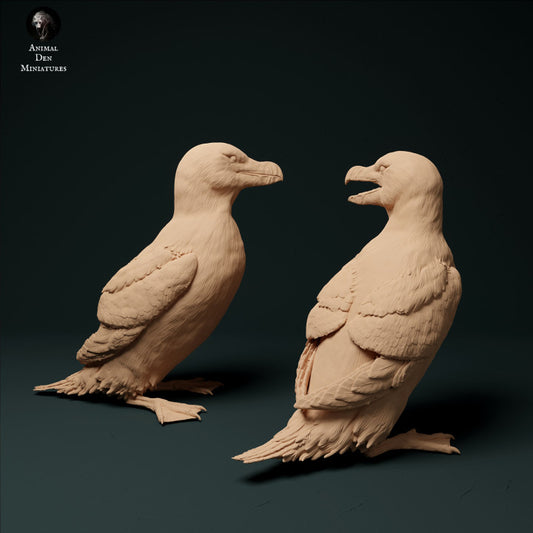 Produktfoto Tier Figur Diorama, Modellbau: 0: Tordalk/ Razorbills (2 Stück): Tiere von der Küste
