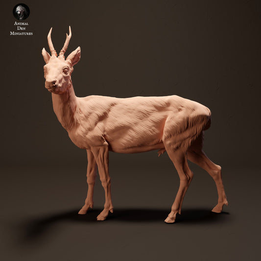 Produktfoto Tier Figur Diorama, Modellbau: 0: Europäischer Hirsch: Tiere aus Europa