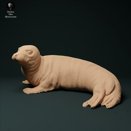 Produktfoto Tier Figur Diorama, Modellbau: 0: Kegelrobbe: Tiere aus dem Meer