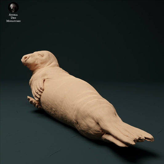 Produktfoto Tier Figur Diorama, Modellbau: 0: Kegelrobbe Männchen: Tiere aus dem Meer
