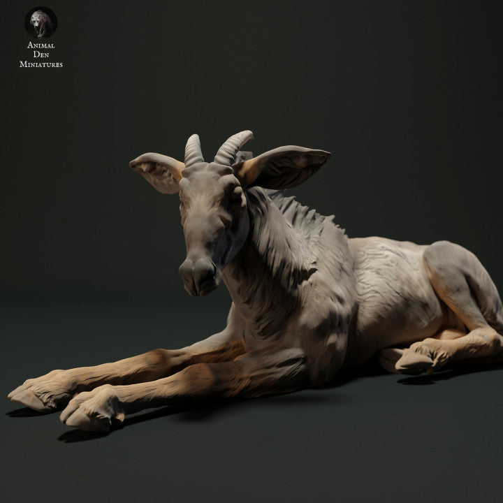 Produktfoto Tierfigur Animal Den Miniatures 2: Wildtier Tierfigur: Sumatra-Serau - liegend (23_05_05)