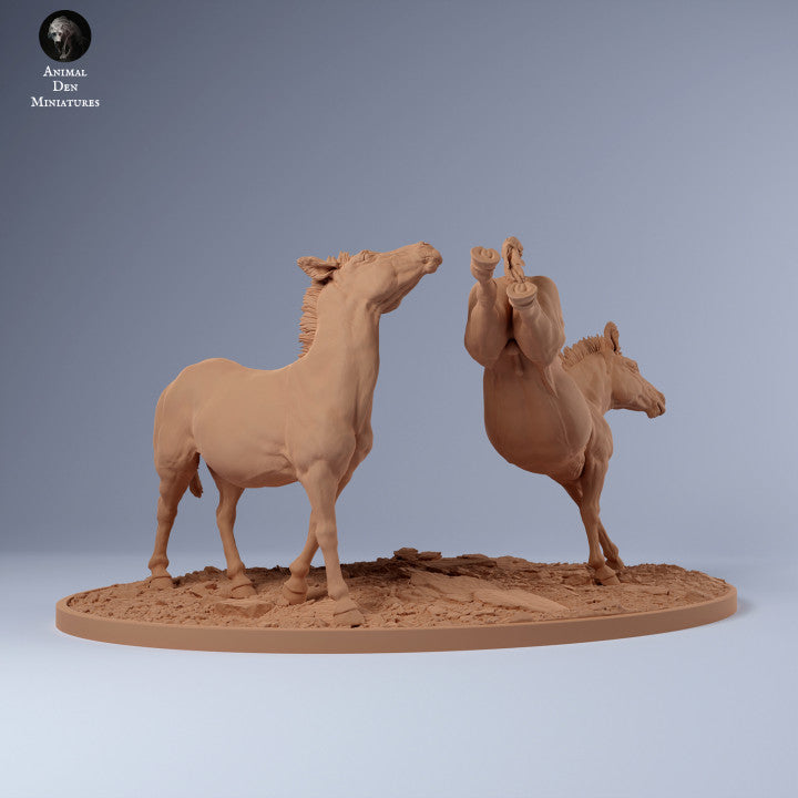 Produktfoto Tier Figur Diorama, Modellbau: 0: Zebra Männchen Revierkampf: Tiere aus Afrika